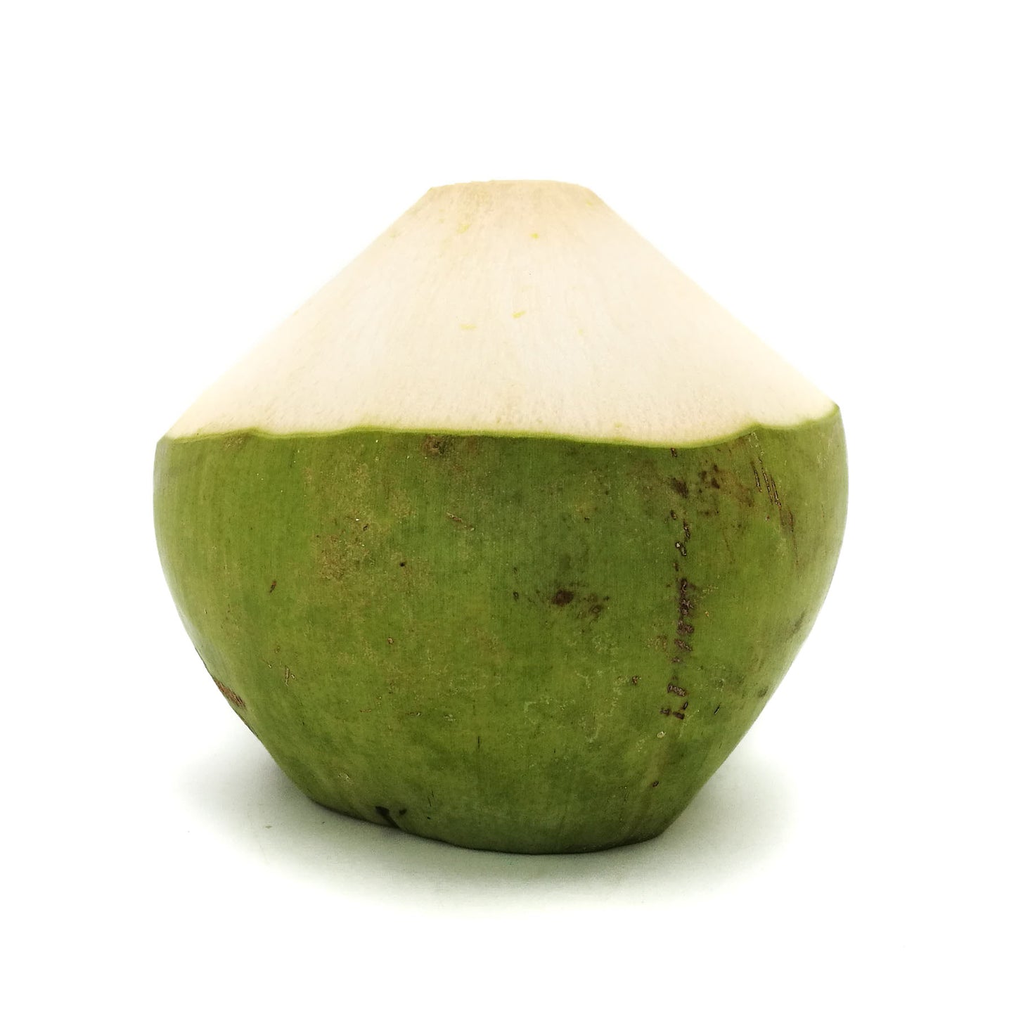 Organic Coconut 1 pc Malaysia