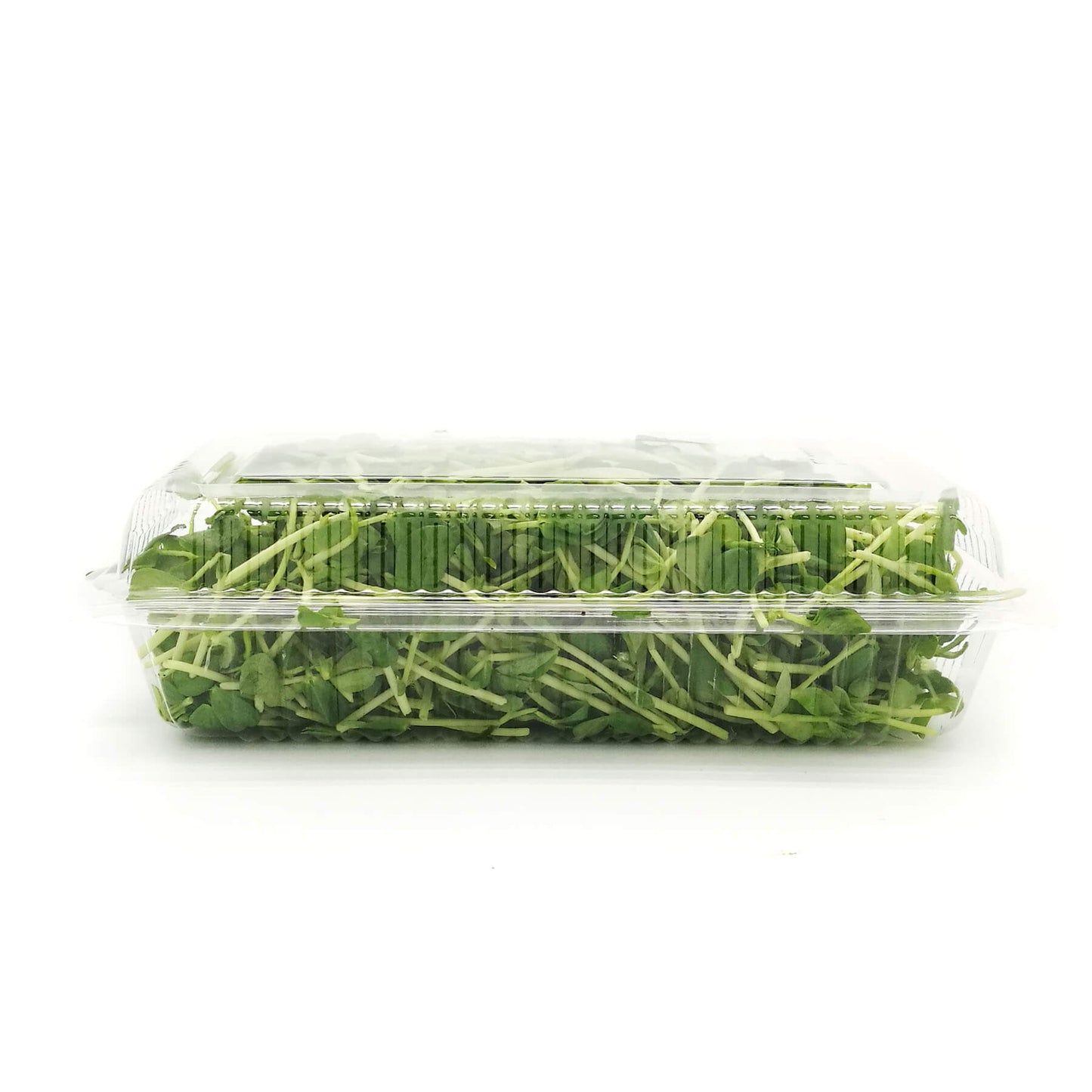 Organic Pea Sprout 100g