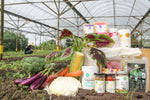 Mythbuster- Are PLU codes the way to determine the organic status of fresh produce?