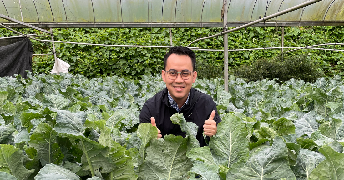 We Got Certified Organic for the 15th Time!