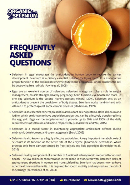 Antibiotic Free Eggs (Selenium Enriched) 10pcs/pack