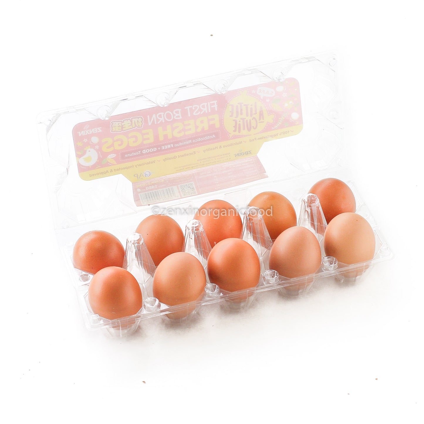 A Little Cutie Eggs 10pcs/pack