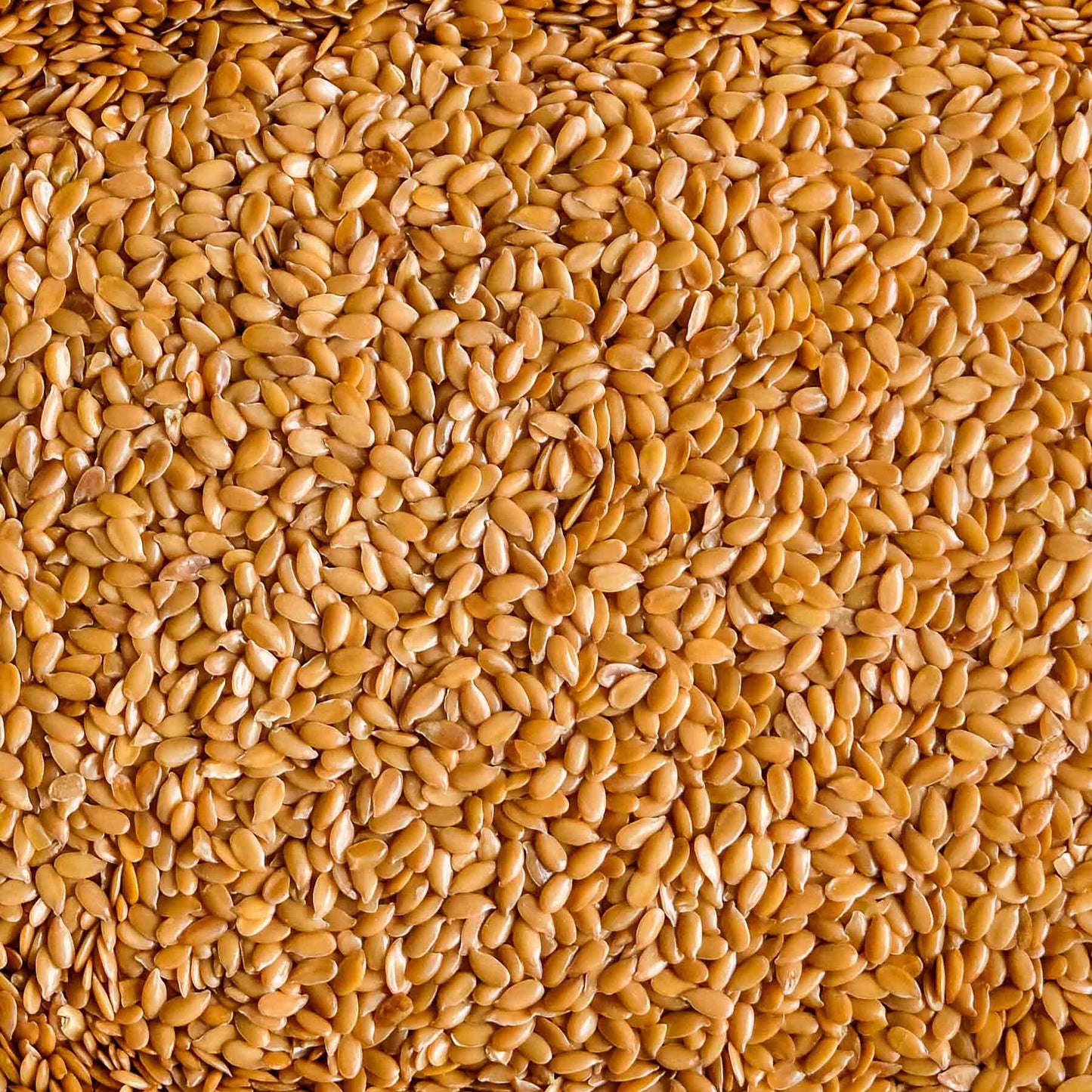 Organic Golden Flaxseeds 250g