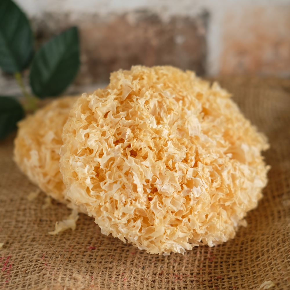 Qing Yuan Organic Dried White Fungus 50g China