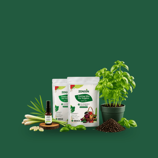 Organic Vegetables & Groceries in Malaysia Online - ZENXIN Organic ...