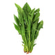 Organic English Spinach 200g