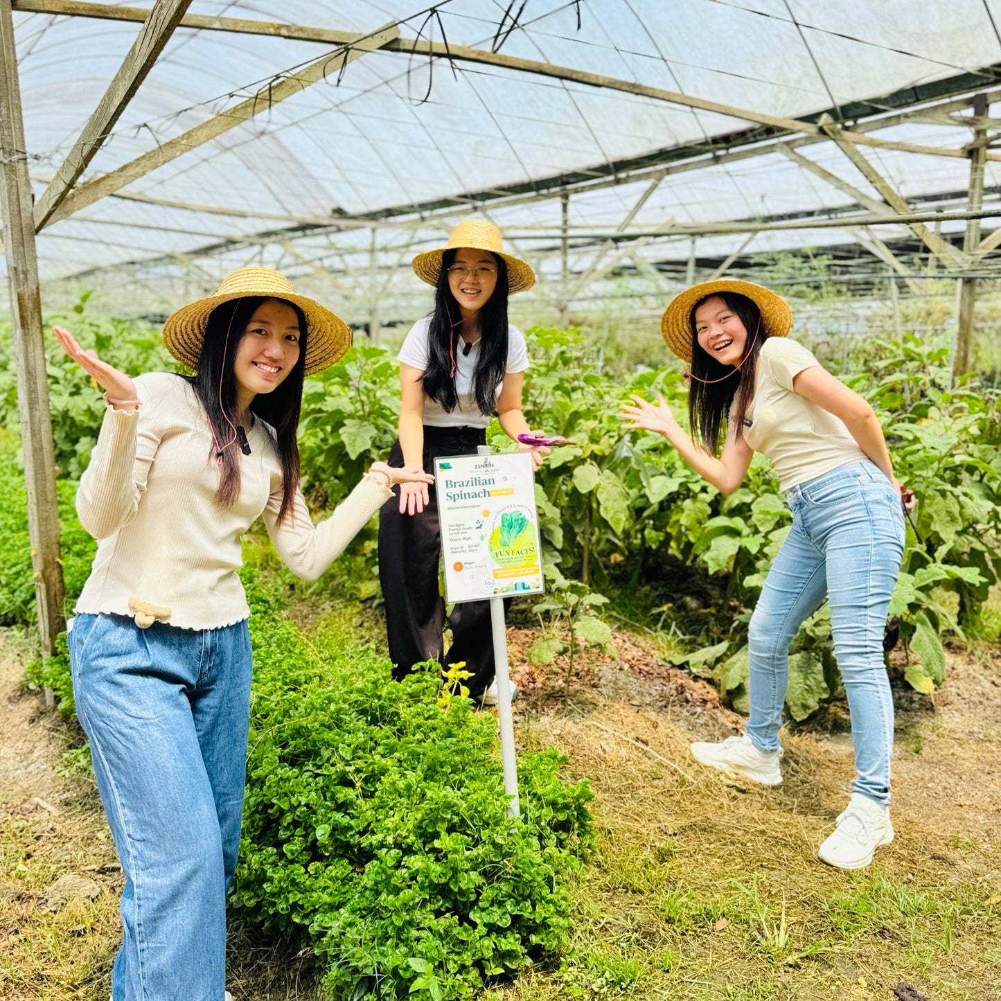 Organic Farm Tour @ Kluang, Johor