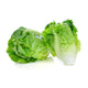 Organic Mini Cos Lettuce 200g