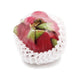 Organic Dragon Fruit (Red Flesh) 1kg