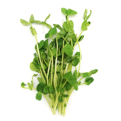 Organic Pea Sprout 100g