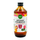 Pomegranate Vinegar Kombucha 250ml
