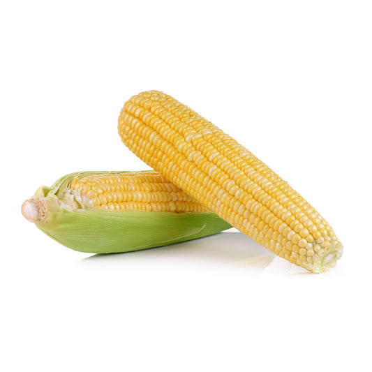Organic Sweet Corn 2pcs