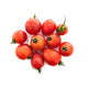 Organic Sweet Cherry Tomato 200g