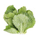 Organic Baby Kailan 200g